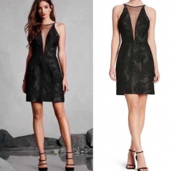 Dress the Population Dresses & Skirts - Dress The Population Kennedy Illusion Embroidered Mini Sheath Dress